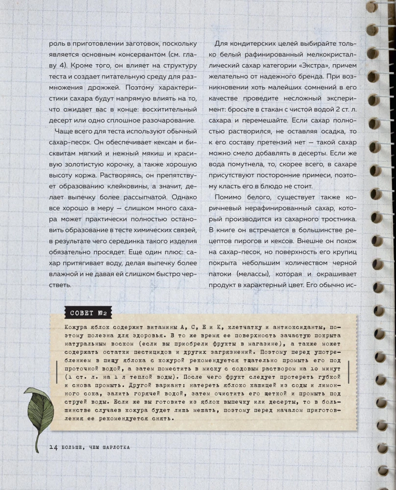 Больше чем шарлотка. Рецепты завтраков, выпечки, десертов, напитков и заготовок из яблок