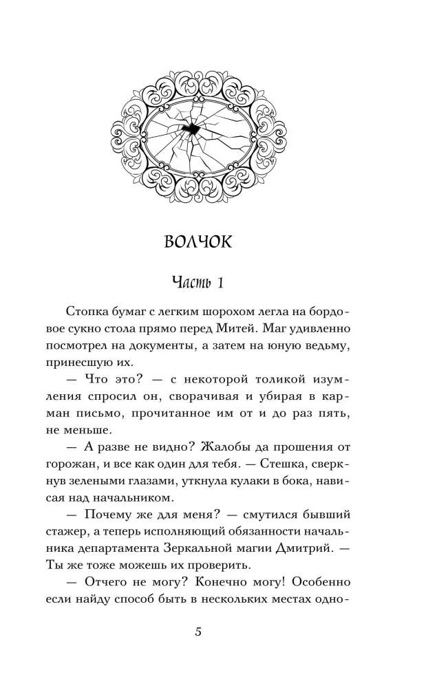 The Catcher of Shattered Reflections