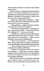 The Catcher of Shattered Reflections