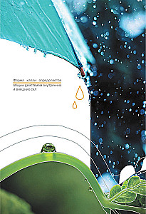 Zinātniskās teorijas 60 sekundēs