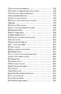 Märchen Japans. Die Berghexe, die Fuchsfrau, Kaguya-hime und der Junge, der Katzen zeichnete