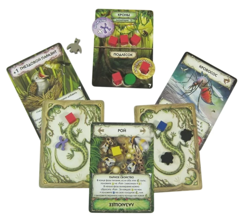 Tabletop Card Game - Evolution. New World. Cycle (expansion)