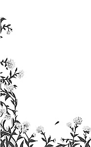 Чертоги солнца