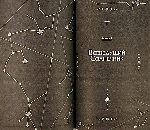 The Perspective of the All-Knowing Reader. Volume 2