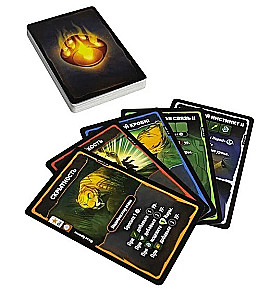 Brettspiel - Thron der Würfel. Taktiker vs Jägerin