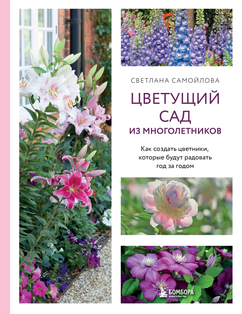 Blooming Perennial Garden. How to Create Flower Beds That Will Delight Year After Year