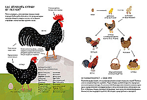 Курицеведение. Дачная энциклопедия