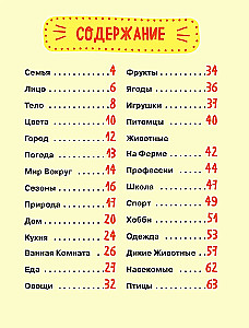 Мой первый год китайского. Словарик в картинках