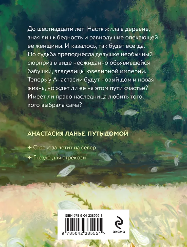 The Dragonfly Flies North