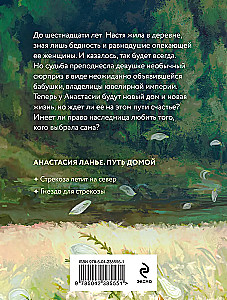 The Dragonfly Flies North