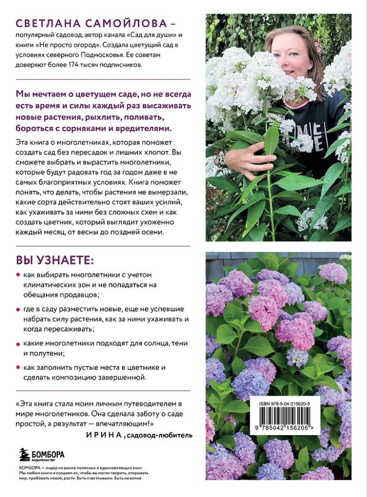 Blooming Perennial Garden. How to Create Flower Beds That Will Delight Year After Year