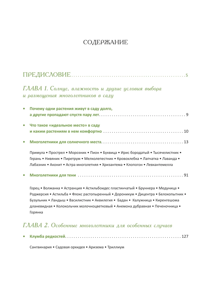 Blooming Perennial Garden. How to Create Flower Beds That Will Delight Year After Year