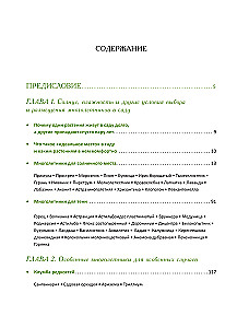 Blooming Perennial Garden. How to Create Flower Beds That Will Delight Year After Year