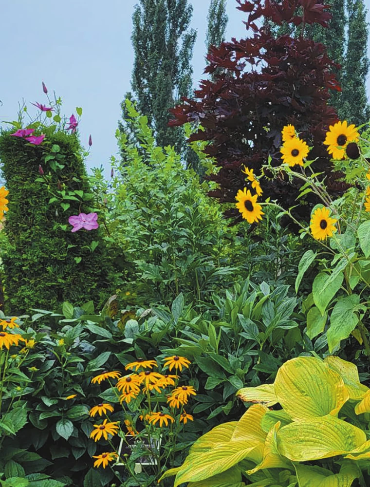 Blooming Perennial Garden. How to Create Flower Beds That Will Delight Year After Year