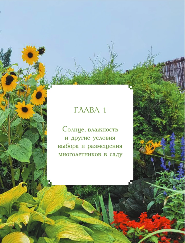 Blooming Perennial Garden. How to Create Flower Beds That Will Delight Year After Year