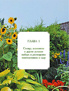 Blooming Perennial Garden. How to Create Flower Beds That Will Delight Year After Year