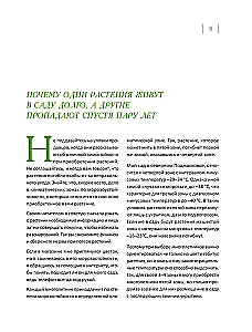 Blooming Perennial Garden. How to Create Flower Beds That Will Delight Year After Year