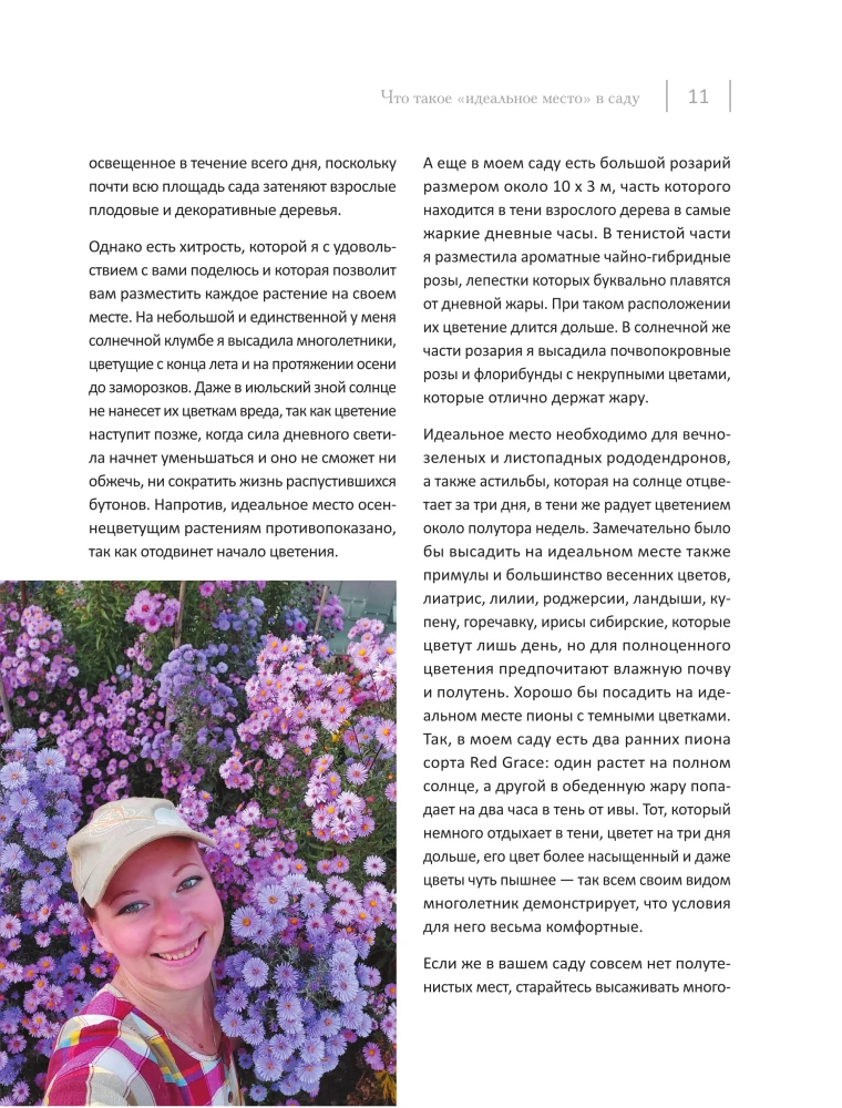 Blooming Perennial Garden. How to Create Flower Beds That Will Delight Year After Year