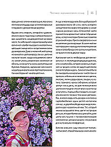 Blooming Perennial Garden. How to Create Flower Beds That Will Delight Year After Year