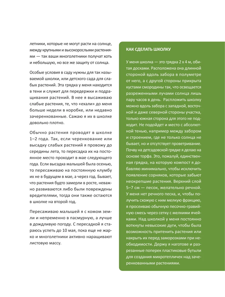 Blooming Perennial Garden. How to Create Flower Beds That Will Delight Year After Year