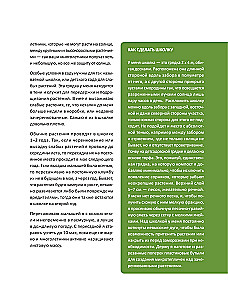 Blooming Perennial Garden. How to Create Flower Beds That Will Delight Year After Year