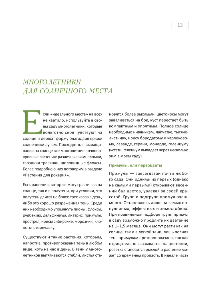 Blooming Perennial Garden. How to Create Flower Beds That Will Delight Year After Year