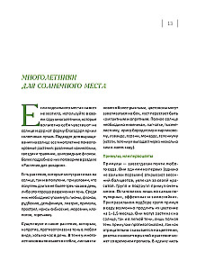 Blooming Perennial Garden. How to Create Flower Beds That Will Delight Year After Year