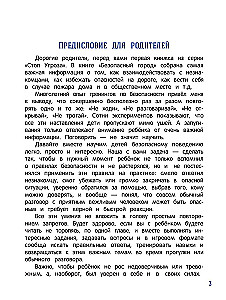 Безопасный город