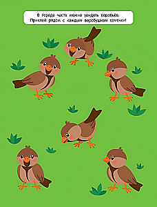 In der Stadt. Stickerbuch