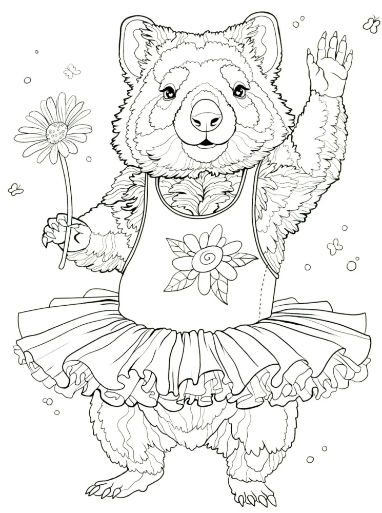 Wombats. Ausmalbuch gegen Stress