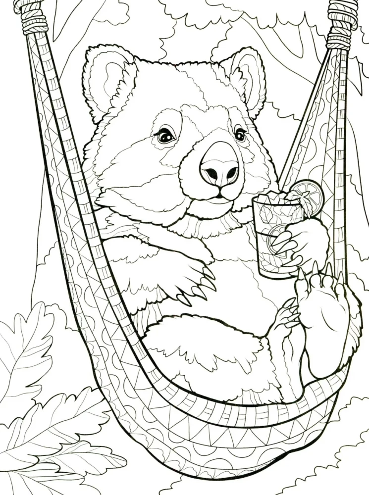 Wombats. Ausmalbuch gegen Stress