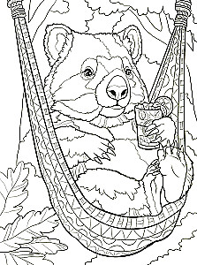 Wombats. Ausmalbuch gegen Stress