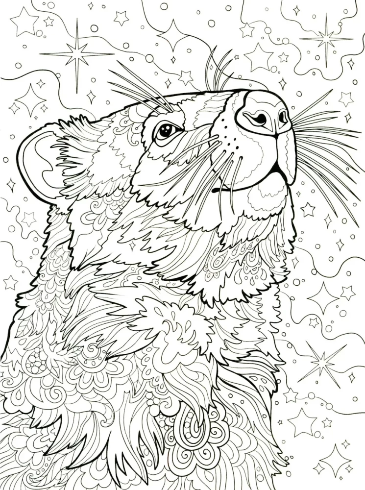 Wombats. Ausmalbuch gegen Stress