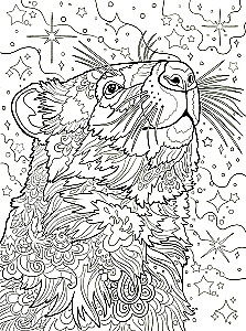 Wombats. Ausmalbuch gegen Stress