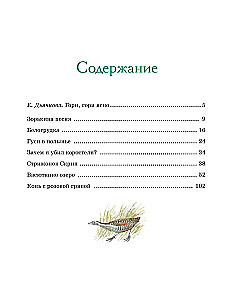 Vasyutkino Lake. Tales