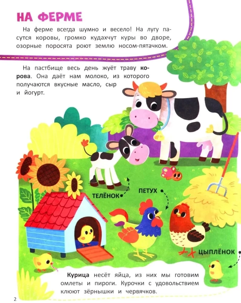 Animals. Sticker Book