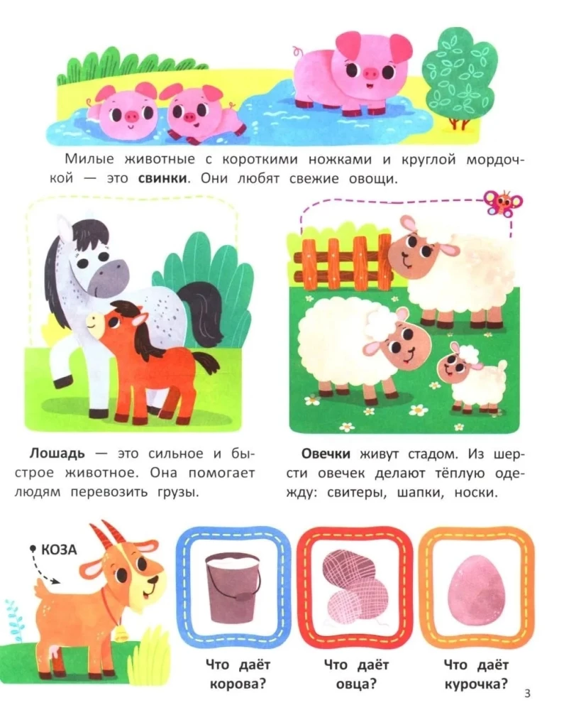 Animals. Sticker Book