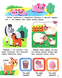 Animals. Sticker Book