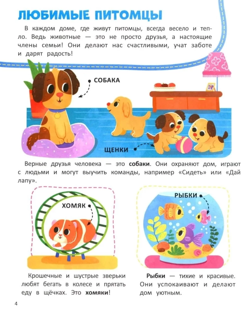 Animals. Sticker Book