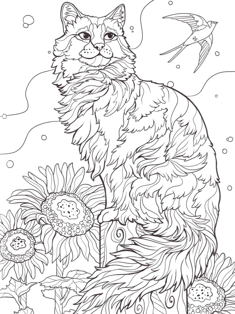Cats. Anti-Stress Coloring Book