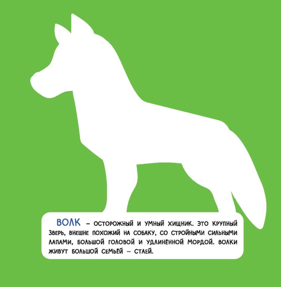 Forest. Three-Dimensional Applications