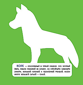 Forest. Three-Dimensional Applications