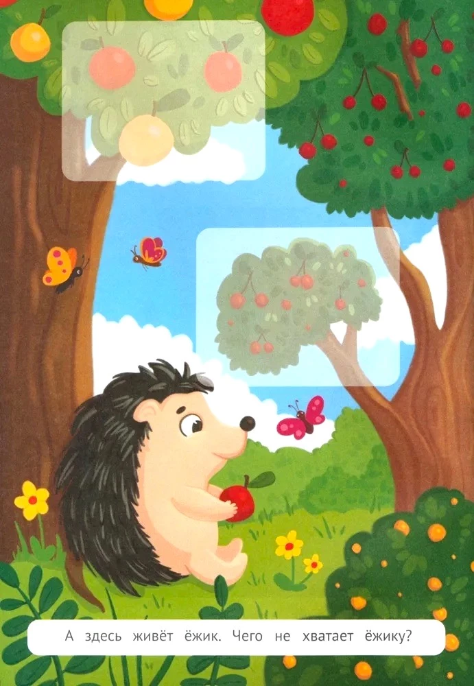 Who lives in this little house? A forest journey