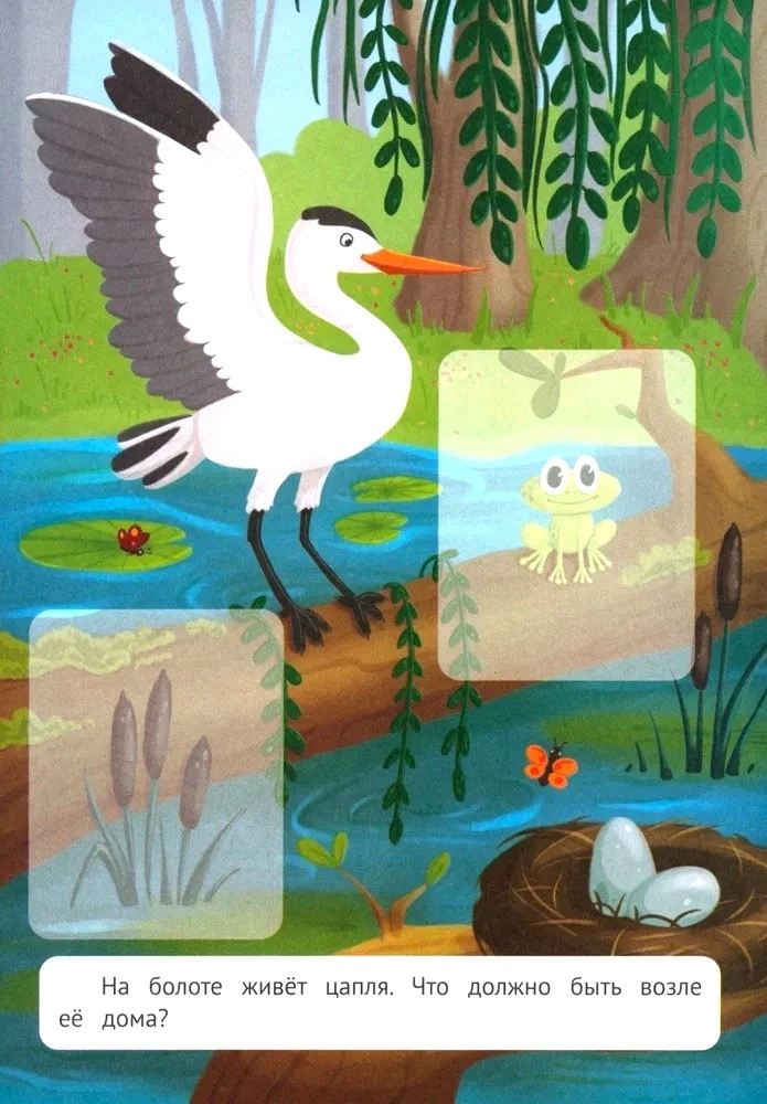 Who lives in this little house? A forest journey