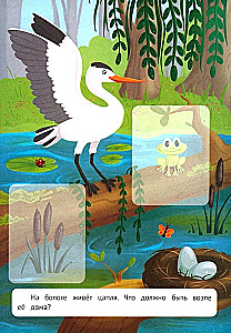 Who lives in this little house? A forest journey