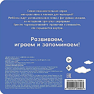 Look through the window! Let's go!