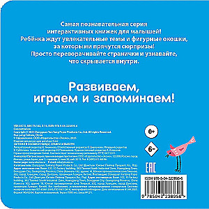 Look Through the Window! Find, Compare and Choose