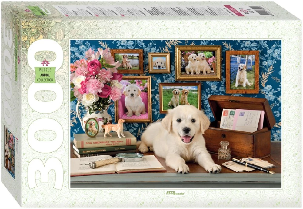 Puzzle 3000 - Favorite Rascall