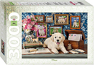 Puzzle 3000 - Favorite Rascall