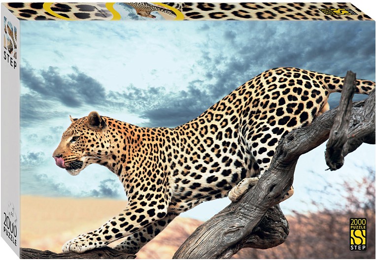 Puzzle 2000 - Leopard in the Wild